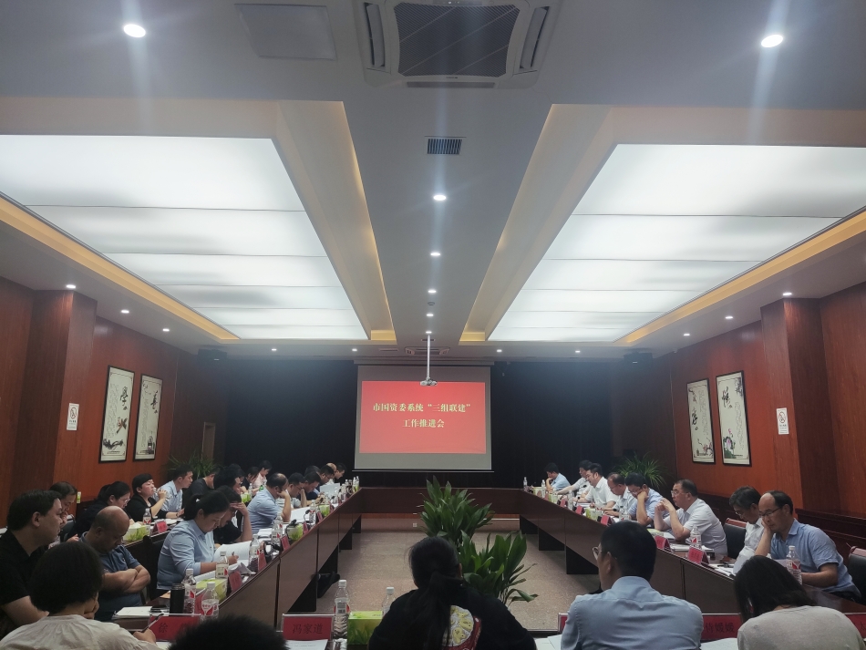 2024年7月17日，市國(guó)資委系統(tǒng)在公司開(kāi)展“三組聯(lián)建”現(xiàn)場(chǎng)觀摩（推進(jìn)會(huì)）_副本